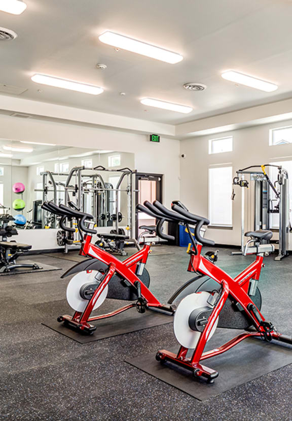 VIEW BY VINTAGE Apartments in BONNEY LAKE, WA